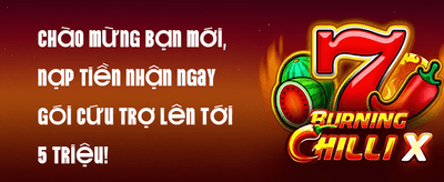 Hoàn Trả VIP Hàng Tuần 2.5% promotion